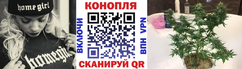 Бошки Шишки THC 21%  ссылка на мегу зеркало  Гремячинск  купить  